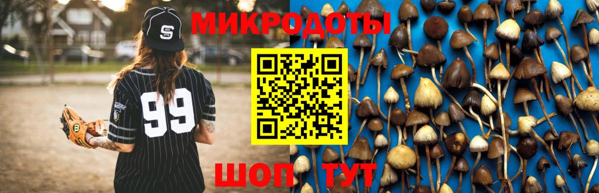 Галлюциногенные грибы MAGIC MUSHROOMS  Вход с VPN  Новосибирск 